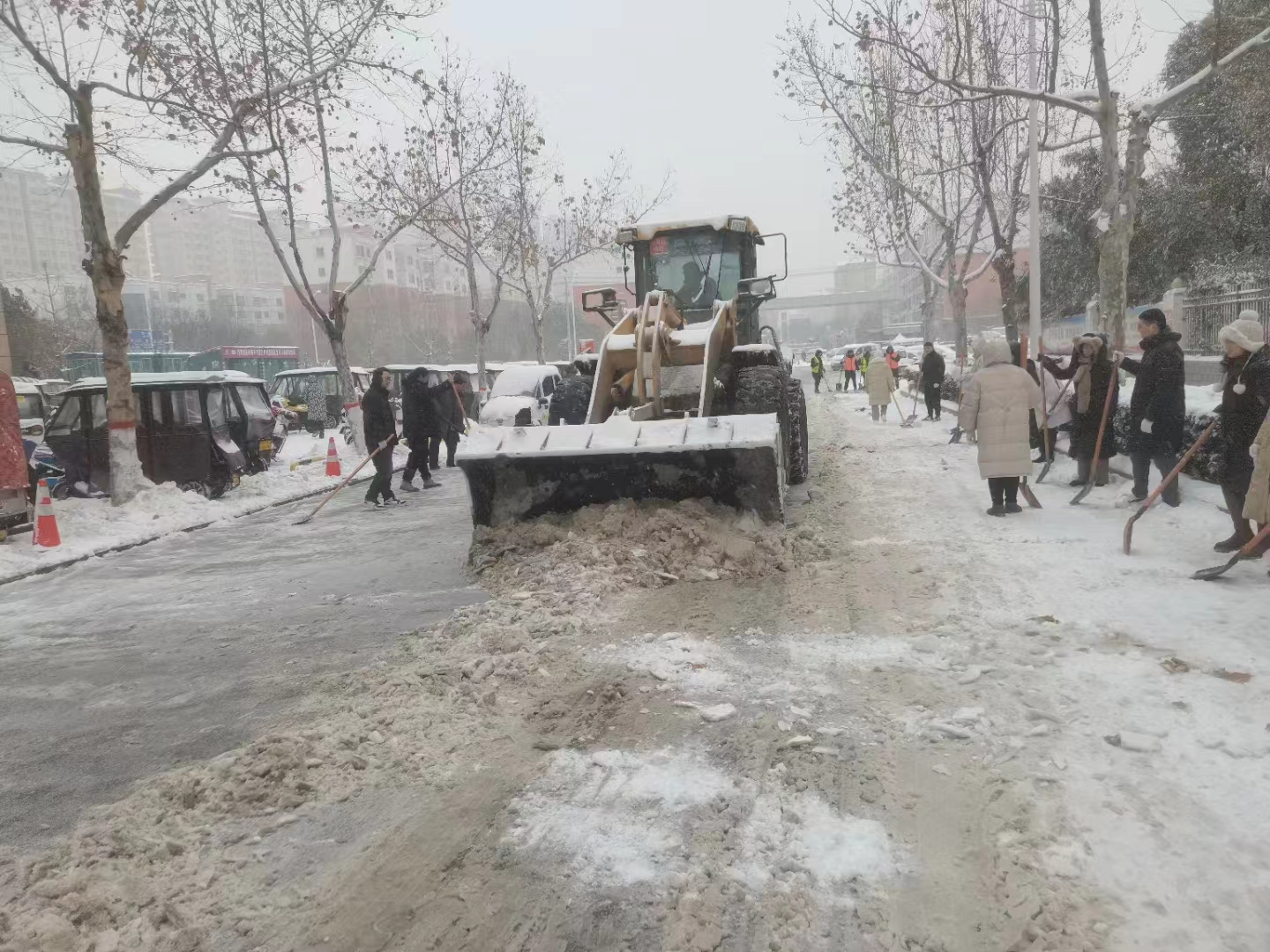 铲冰除雪、情暖冬日，“筑”力出行安全
